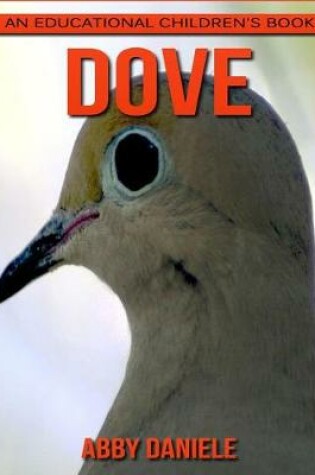 Cover of Dove! An Educational Children's Book about Dove with Fun Facts & Photos