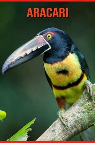 Cover of Aracari