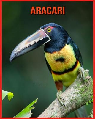 Book cover for Aracari