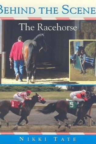Cover of The Racehorse