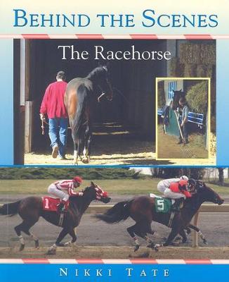 Book cover for The Racehorse