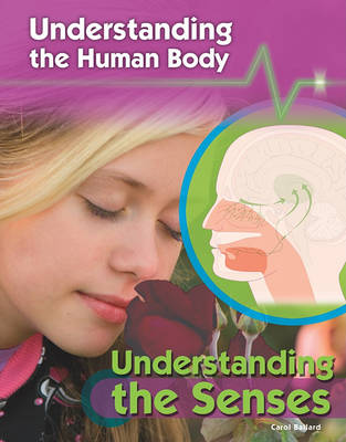 Book cover for Understanding the Senses