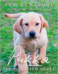 Book cover for Pukka