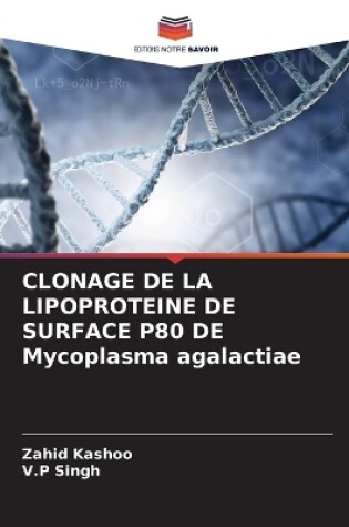 Cover of CLONAGE DE LA LIPOPROTEINE DE SURFACE P80 DE Mycoplasma agalactiae