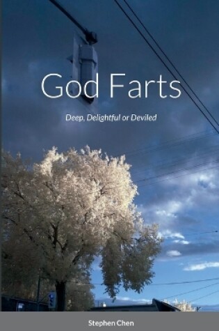 Cover of God Farts