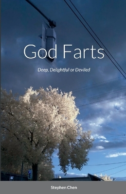 Book cover for God Farts