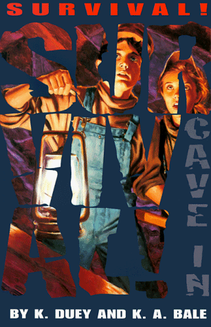 Book cover for Cave-in, St. Claire, Pennsylvania, 1859