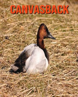 Book cover for Canvasback