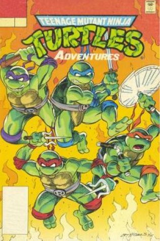 Cover of Teenage Mutant Ninja Turtles Adventures Volume 16