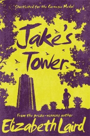 Cover of Jake's Tower