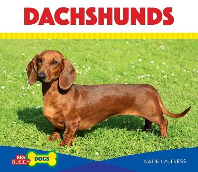 Book cover for Dachshunds