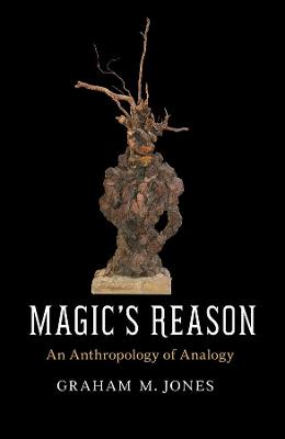 Book cover for Magic's Reason