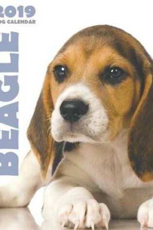 Cover of Beagle 2019 Dog Calendar