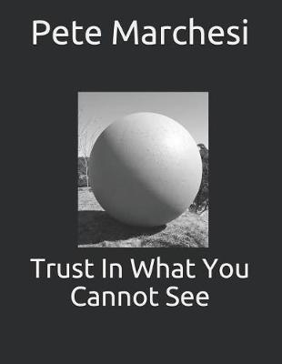 Book cover for Trust In What You Cannot See