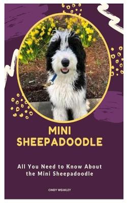 Cover of Mini Sheepadoodle