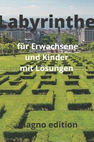 Cover of Labyrinthe fur Erwachsene und Kinder mit Loesungen