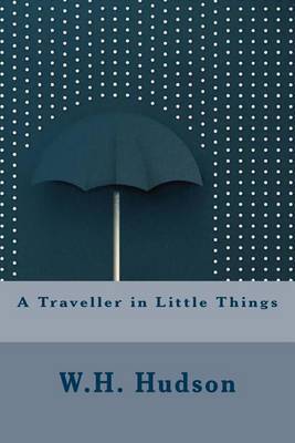 Book cover for A Traveller in Little Things