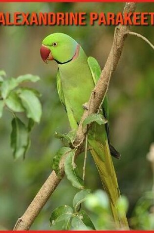 Cover of Alexandrine Parakeet