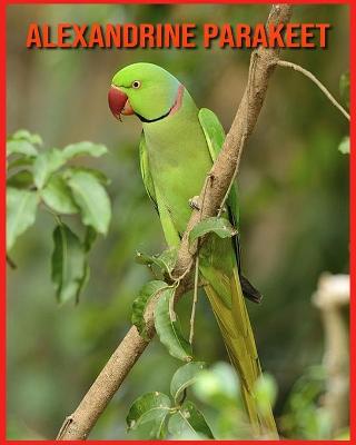 Book cover for Alexandrine Parakeet