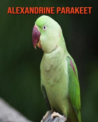 Book cover for Alexandrine Parakeet