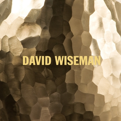 Book cover for David Wiseman