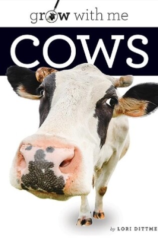 Cover of Cows