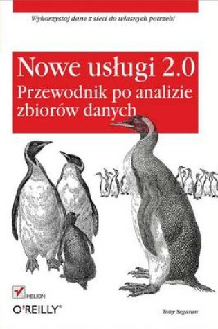 Cover of Nowe Us?ugi 2.0. Przewodnik Po Analizie Zbiorow Danych