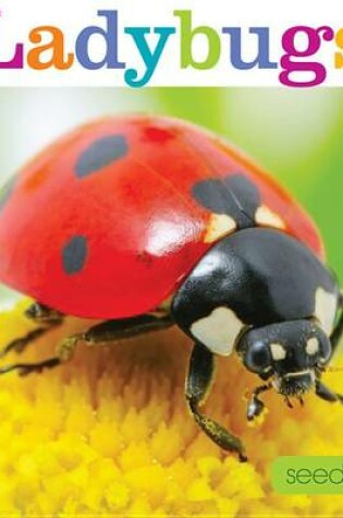 Cover of Seedlings: Ladybugs