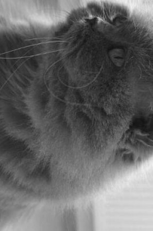 Cover of British Longhair Cat In Black and White Journal