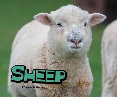 Book cover for Sheep