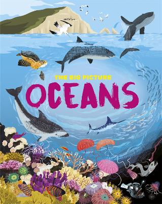 Book cover for The Big Picture: Oceans