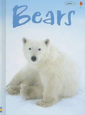 Book cover for Bears