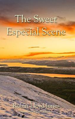 Book cover for The Sweet Especial Scene
