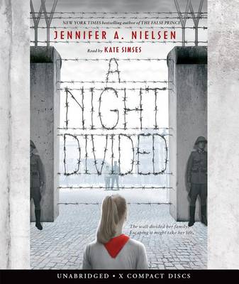 Book cover for A Night Divided