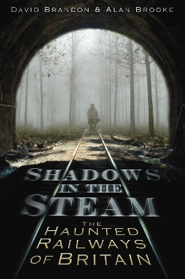 Book cover for Shadows in the Steam