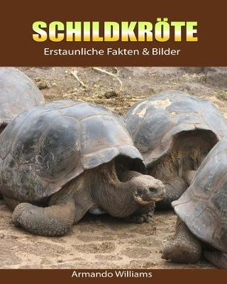 Book cover for Schildkroete