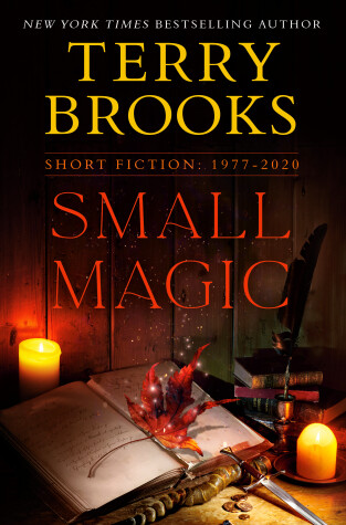 Book cover for Small Magic