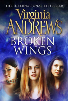 Book cover for Broken Wings