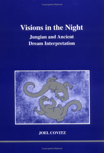Book cover for Vision in the Night