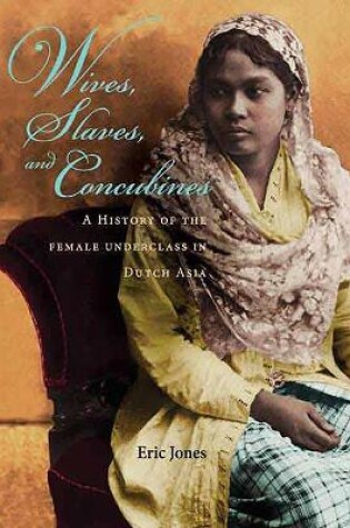 Cover of Wives, Slaves, and Concubines