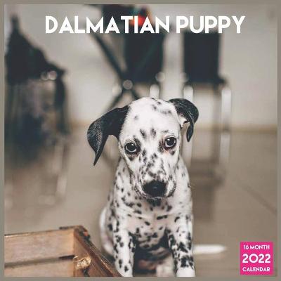 Book cover for Dalmatian puppy 2022 Calendar