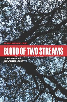 Cover of Blood of Two Streams