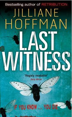 Book cover for Last Witness