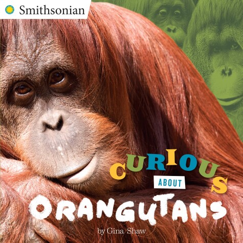 Book cover for Curious About Orangutans