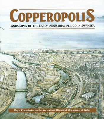 Book cover for Copperopolis