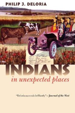 Cover of Indians in Unexpected Places