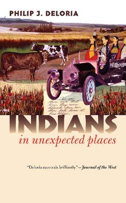 Cover of Indians in Unexpected Places