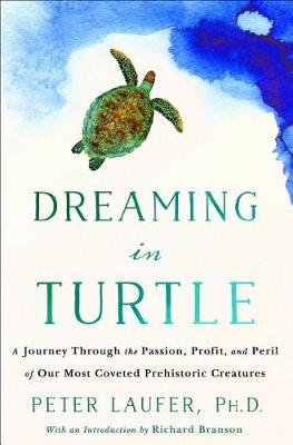 Book cover for Dreaming in Turtle