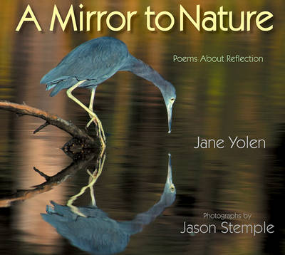 Book cover for A Mirror to Nature