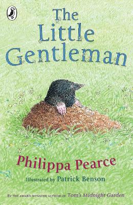 Book cover for The Little Gentleman